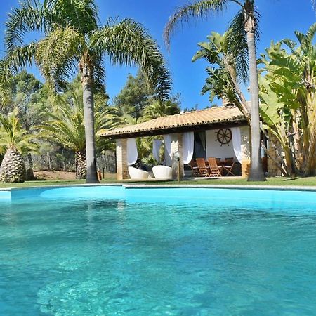 פורט וילג' Villa Palmetto מראה חיצוני תמונה