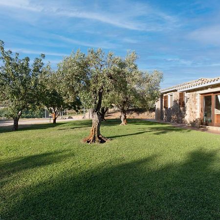 פורט וילג' Villa Palmetto מראה חיצוני תמונה